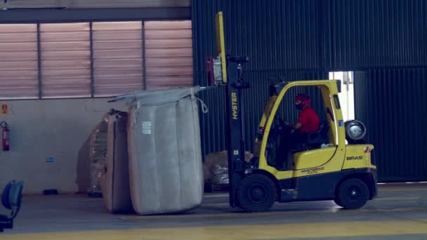 Using Forklift Move Huge Bag Freshly Harvested Coffee Beans Factory — Stock Video