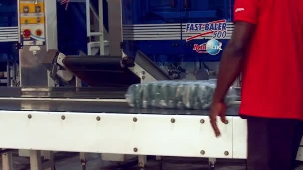 工場の搬送ベルトから新鮮なパッケージ化されたコーヒー豆を取り出し 出荷用のパレットに積み上げる — ストック動画