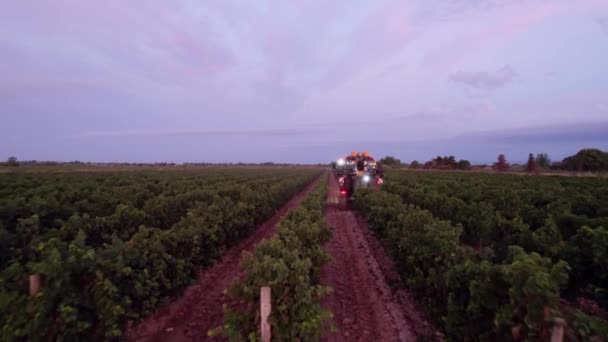 Aérien Des Tracteurs Spéciaux Sont Utilisés Pour Obtenir Les Raisins — Video