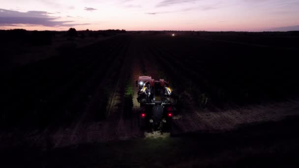 Les Agriculteurs Vendangent Tôt Matin Dans Sud France — Video