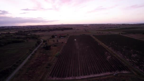 Lotnictwo Zbiór Winogron Południu Francji — Wideo stockowe