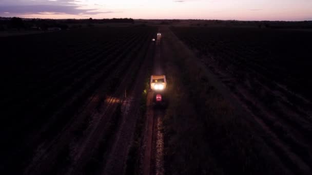 Trattore Alla Guida Nel Buio Del Mattino Presto Tra Campi — Video Stock