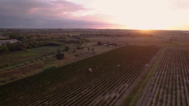 Aérien Agriculteurs Travaillant Dans Grand Champ Lever Soleil Dans Sud — Video