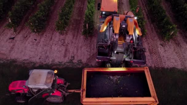 Aérien Agriculteurs Récoltant Raisin Dans Sud France — Video