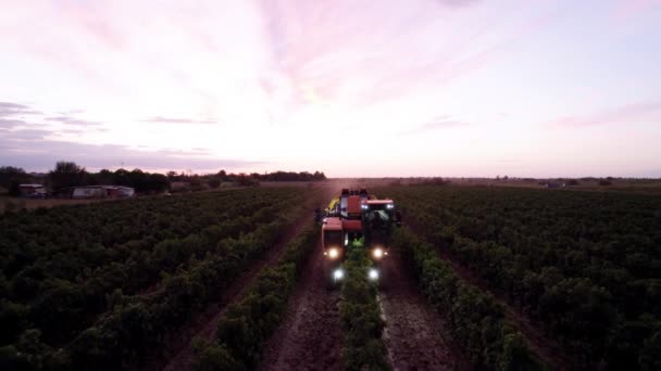 ブドウの収穫に使用する特殊機械 — ストック動画