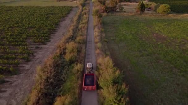 Gövdesi Üzüm Dolu Traktör Güney Fransa Nın Tarlalarından Hızla Geçiyor — Stok video