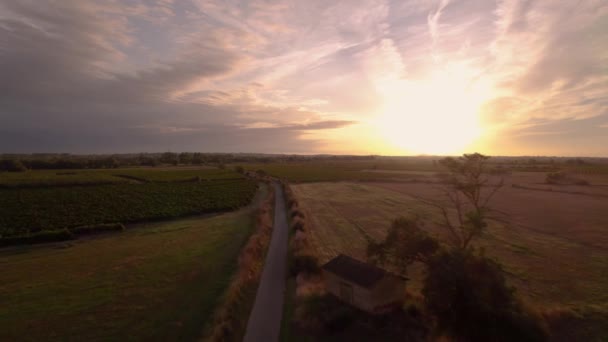 空中撮影 南フランスのブドウ畑を飛ぶ — ストック動画