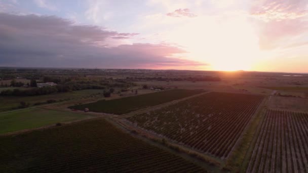 Vista Aérea Los Campos Viñedos Del Sur Francia Bziers — Vídeo de stock