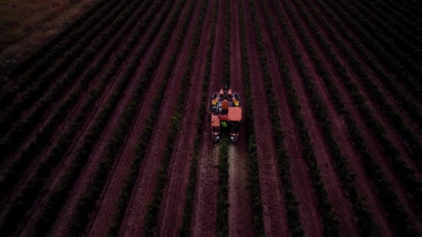 ブドウ畑からブドウを得るために使用される特別なファームトラック — ストック動画
