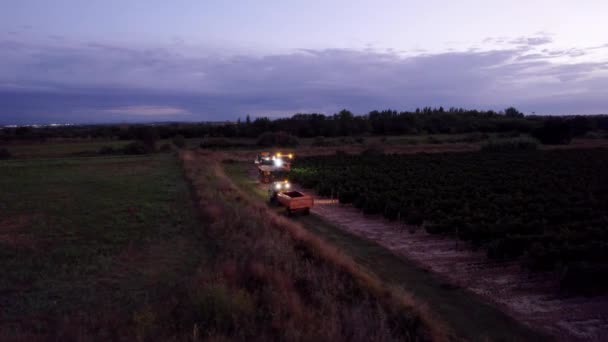 Aérien Exploitants Récoltant Des Raisins Dans Sud France — Video