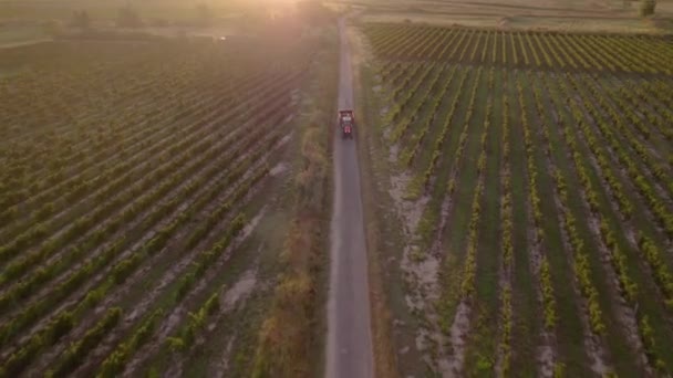 Aérien Tracteur Roulant Rapidement Travers Les Champs Raisin Dans Sud — Video