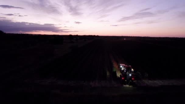Fotografia Aérea Dos Agricultores Que Iniciam Colheita Uvas Início Dia — Vídeo de Stock