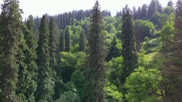 Drone Tiro Uma Pequena Aldeia Vale Sainj Himachal Pradesh Perto — Vídeo de Stock