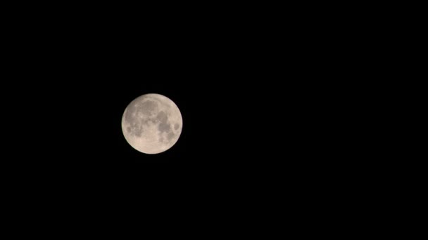 Aproape Luna Plină Mișcă Foarte Încet Cerul Negru Copiați Spațiul — Videoclip de stoc