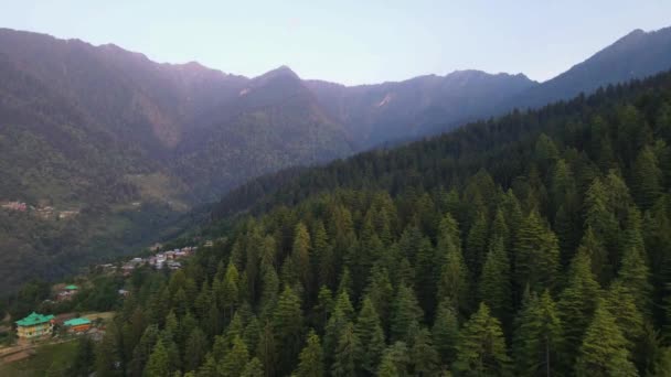 Drone Tiro Uma Floresta Vale Sainj Himachal Pradesh Perto Manali — Vídeo de Stock