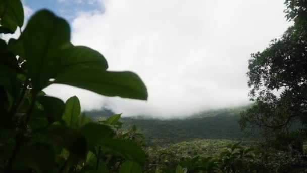 Ein Blick Durch Lichtungen Den Bäumen Offenbart Ein Wolken Gehülltes — Stockvideo