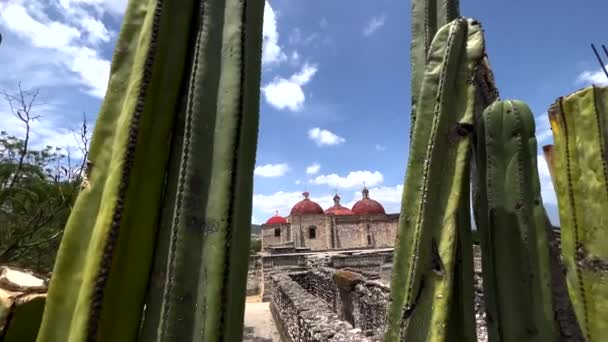 Antike Ruinen Von Mitla Oaxaca Mexiko Dolly Blick Durch Kakteenpflanze — Stockvideo