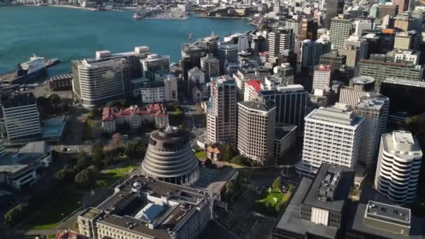 Bijenkorf Wellington Nieuw Zeeland Verbazingwekkende Luchtfoto Terug Trekken Onthullen Stadsgezicht — Stockvideo