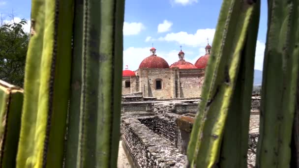 Ancient Ruins Site Mitla Oaxaca Mexico Close Dolly View Cactus — 비디오