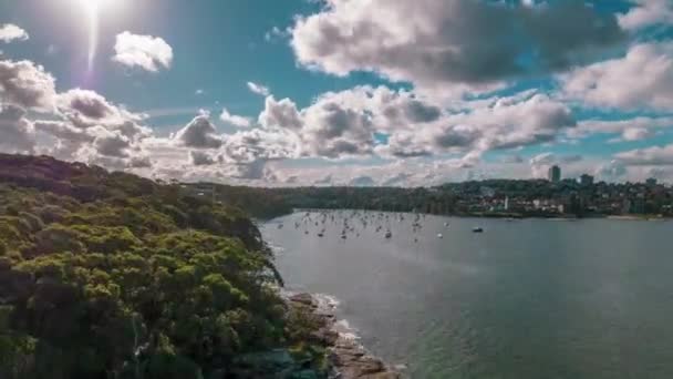 Manly Harbor Balgowlah Fairlight Views Beautiful Ocean Boats — Stock Video