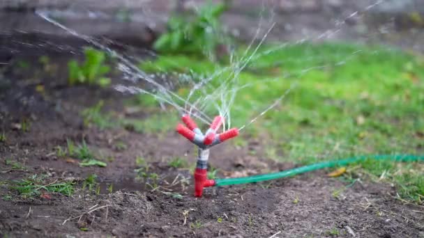 Langzame Beweging Dichtbij Zicht Een Sproeier Die Een Moestuin Besproeit — Stockvideo