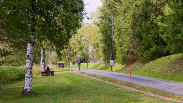 Miejski Park Zielonymi Drzewami Trawą Kilka Osób Spaceruje Pobliżu Parku — Wideo stockowe