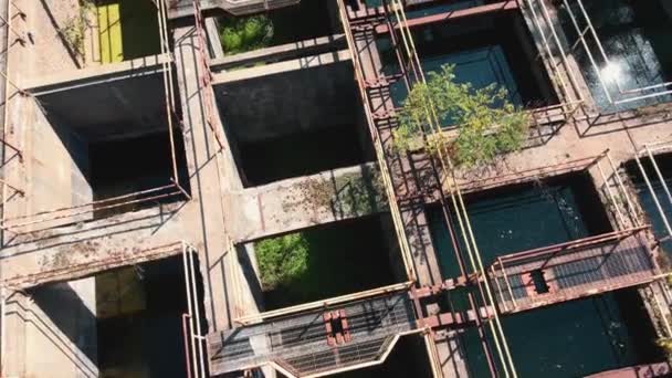 从鸟瞰到植物的90度倾斜 — 图库视频影像