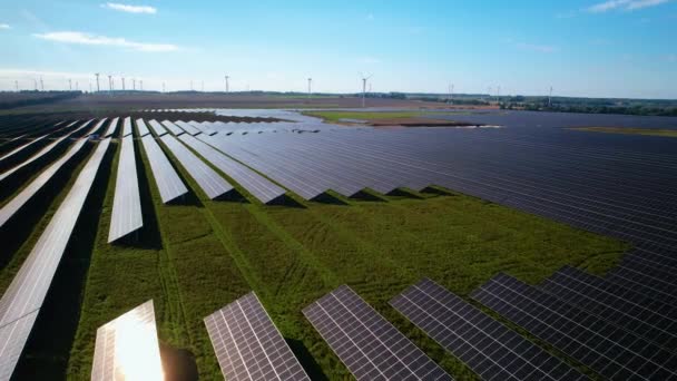 Moderní Elektrárenská Farma Solárními Panely Pro Země Třetího Světa Letecký — Stock video