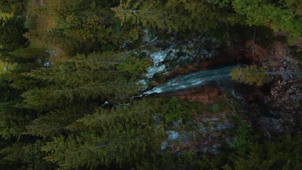 Air Terjun Vertikal Besar Kaskade Dengan Air Gletser Segar Bavarian — Stok Video