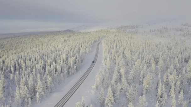 雪に覆われた森の中の冬の道の空中風景車の運転 — ストック動画
