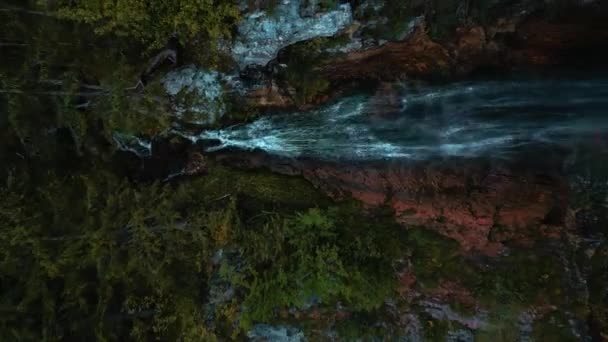 Pionowa Kaskada Wodospadowa Świeżą Wodą Lodowcową Romantycznych Sielankowych Bawarskich Alpach — Wideo stockowe