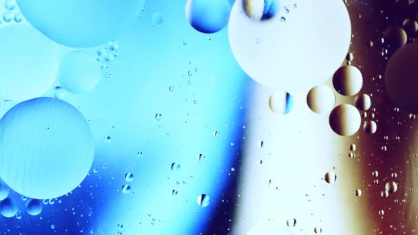 Echte Nahaufnahme Ölblasen Wasser Rotation Mit Farbverlauf Abstrakten Mischhintergrund — Stockvideo