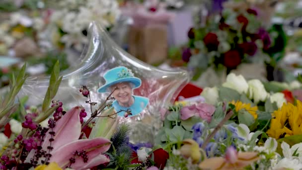 Fénykép Queen Elizabeth Átlátszó Csillag Alakú Léggömb Csokor Virágok — Stock videók