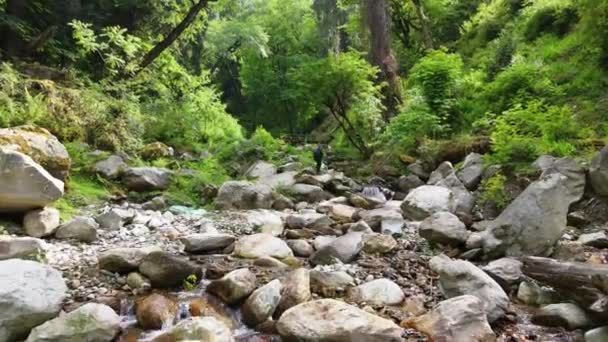 Drone Shot Van Een Klein Dorp Sainj Valley Himachal Pradesh — Stockvideo