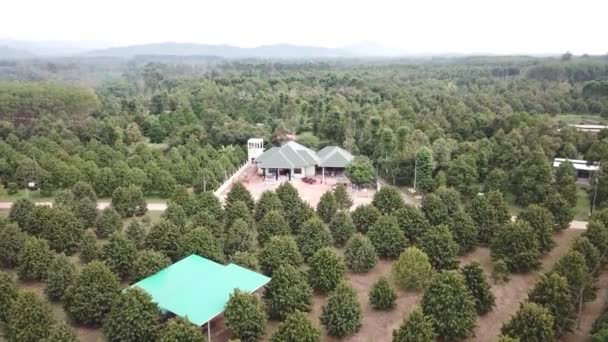 Bawah Konstruksi Rumah Dikelilingi Oleh Pohon Maju Shot Tembakan Udara — Stok Video