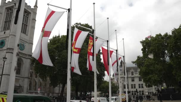 Banderas Mancomunidad Ondeando Viento Plaza Del Parlamento Westminster Día Nublado — Vídeo de stock