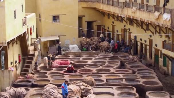 Nagranie Mężczyzny Pracującego Chouwara Tannery Starej Medynie Fezie Fez Słynie — Wideo stockowe