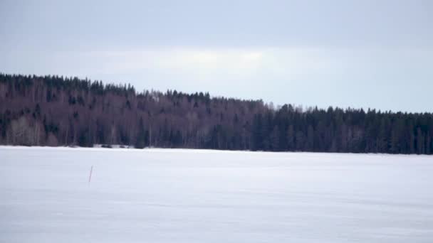 Snö Scen Med Skog Vid Horisonten Vuokatti Finland Handhållen Med — Stockvideo