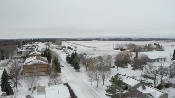 Légi Felvétel Repül Egy Kis Hófödte Kanadai Közösség Prérin Manitoba — Stock videók