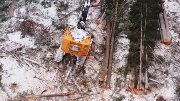 ドローンはゆっくりとクレーンダウンし 産業用木材伐採機械の近くに森の中をクロールアップを示して 近くの木になった 大規模シリーズの一部 — ストック動画