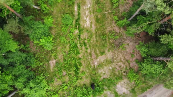 黑暗的割草机从地狱里来到了丛林的中央 空中射击 — 图库视频影像