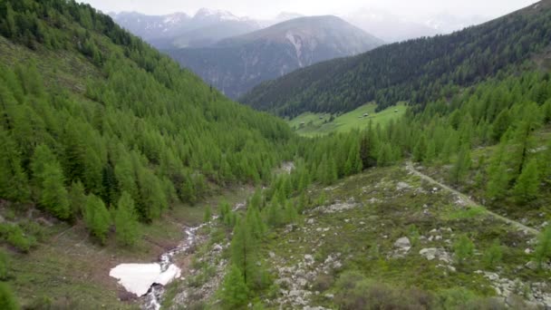 Aereo Drone Filmato Che Muove Lentamente Attraverso Paesaggio Montano Forestale — Video Stock
