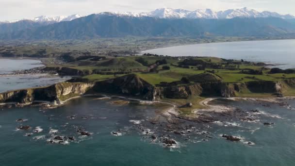 美丽的新西兰海岸景观 绿色的牧场和小半岛上的悬崖 Kaikoura 空中无人驾驶飞机 — 图库视频影像