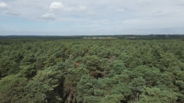 Lage Langzame Luchtfoto Van Dichte Boreale Bossen Het Britse Platteland — Stockvideo