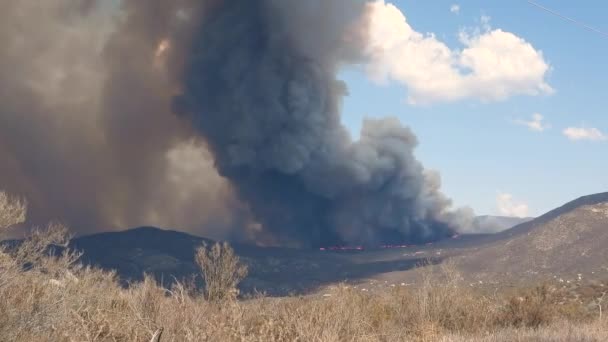 Pilier Fumée Gris Foncé Échappe Des Prairies Pénètre Dans Ciel — Video