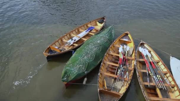 Ruderboote Vor Anker Der Themse Warten Auf Mietkunden Richmond — Stockvideo