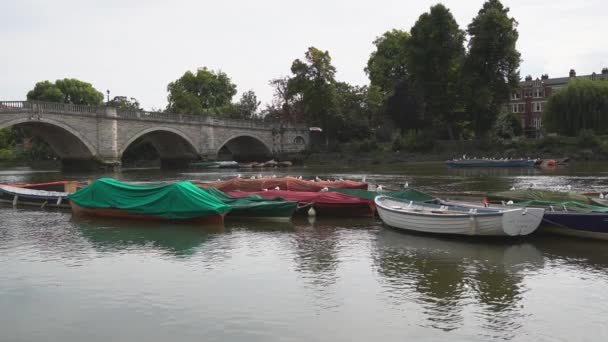 Řeka Temže Protéká Kolem Kamenného Obloukového Mostu Předměstí Londýna Richmond — Stock video