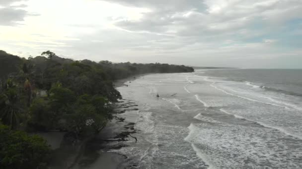 Widok Lotu Ptaka Playa Negra Cahuita Pacyfiku Kostaryki — Wideo stockowe