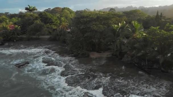 Flygfoto Över Playa Negra Cahuita Stilla Sidan Costa Rica — Stockvideo