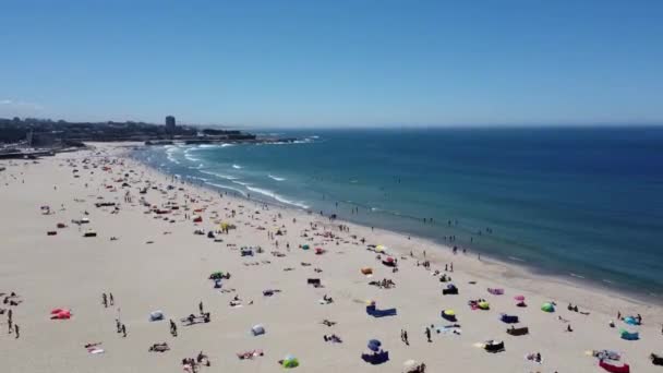 Vista Aérea Uma Praia Matosinhos Portugal — Vídeo de Stock